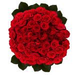 GlobalRose Roses Flowers - 100 Beautiful Natural Red Roses