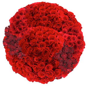 GlobalRose 100 Red Roses Natural