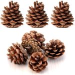 Bulk Package Natural Pinecones 24 Pack