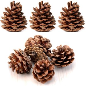 Bulk Package Natural Pinecones 24 Pack