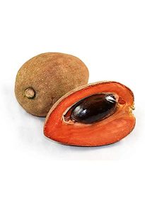 Fresh Mamey Sapote Set of 3