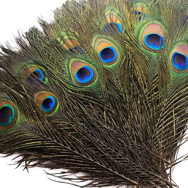 50 Pcs Peacock Feathers 40-45 cm