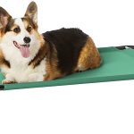 AmazonBasics Elevated Cooling Pet Bed