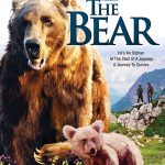 Bear DVD Tcheky Karyo