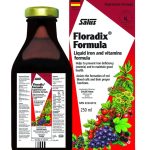 Floradix Vitamin Formula Liquid