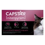 CAPSTAR Flea Treatment for Dogs & Cats