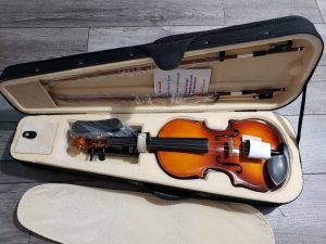 Cecilio CVN-300 Solidwood Violin with D'Addario Prelude Strings