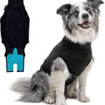 Suitical Recovery Suit for Dogs - Medium