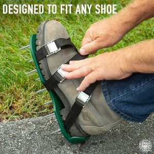 Punchau Aerator Shoes with Buckles and Straps