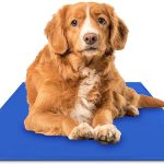 Chillz Cooling Mat For Dogs