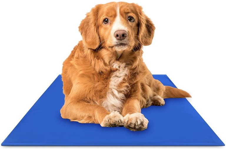 Chillz Cooling Mat For Dogs