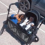 Deluxe Wrangler Stroller by Delta Children