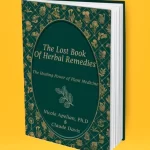 The Lost Book of Remedies