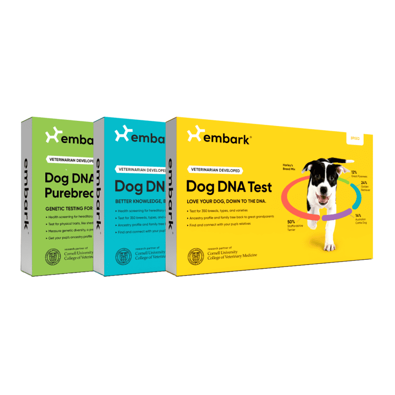 Embark Dog DNA Test: Breed & Health Kit