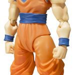 Tamashi Nations Dragon Ball S.H. Figuarts