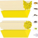 Stingmon 6 Pack Sticky Fruit Fly and Fungus Gnat Traps