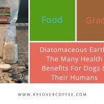 Diatomaceous Earth Food Grade