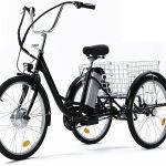 Viribus Electric Tricycle with Removable Battery