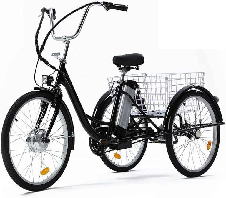 Viribus Electric Tricycle with Removable Battery