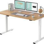 Flexispot Standing Desk Adjustable Height Electric Desk Riser
