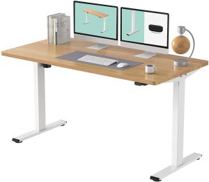 Flexispot Standing Desk Adjustable Height Electric Desk Riser