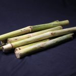 Fresh Sugar Cane