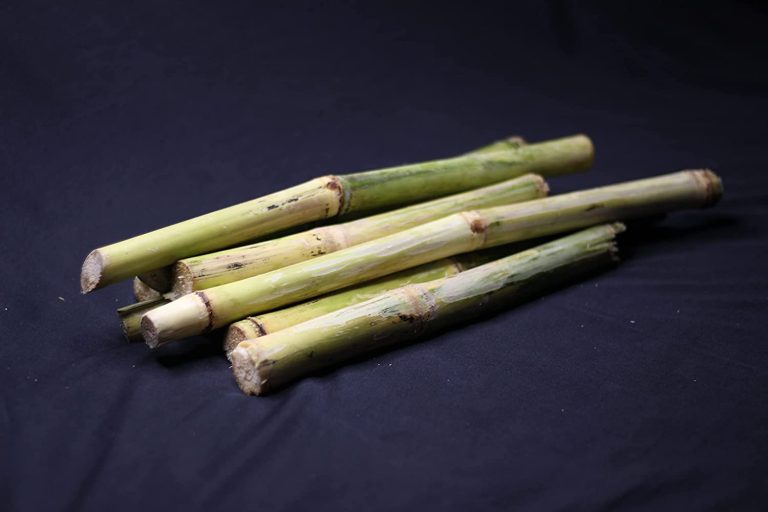 Fresh Sugar Cane