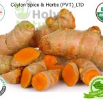 USDA Organic Turmeric Whole Root