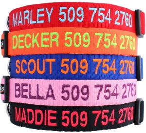 GoTags Personalized Dog Collar with Embroidered Name and Phone Number