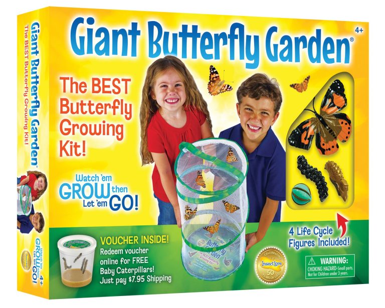 Insect Lore Butterfly Growing Kit