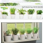 Herb Window Garden