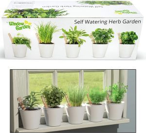 Herb Window Garden