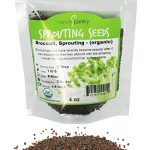 Sprouting Seeds by Handy Pantry