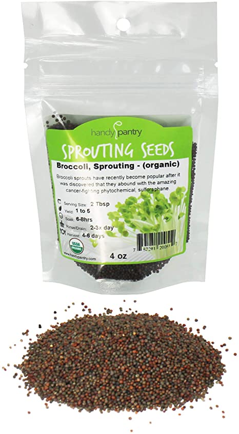 Sprouting Seeds by Handy Pantry