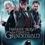 Harry Potter: The Complete 8-Film Collection & Fantastic Beasts: The Crimes of Grindelwald