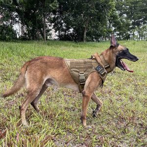 ICEFANG Tactical Dog Harness