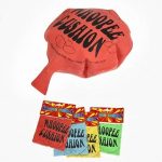 American Science & Surplus Whoopee Cushion