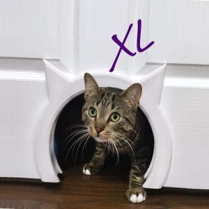 Kitty Pass Interior Door Hidden Litter Box