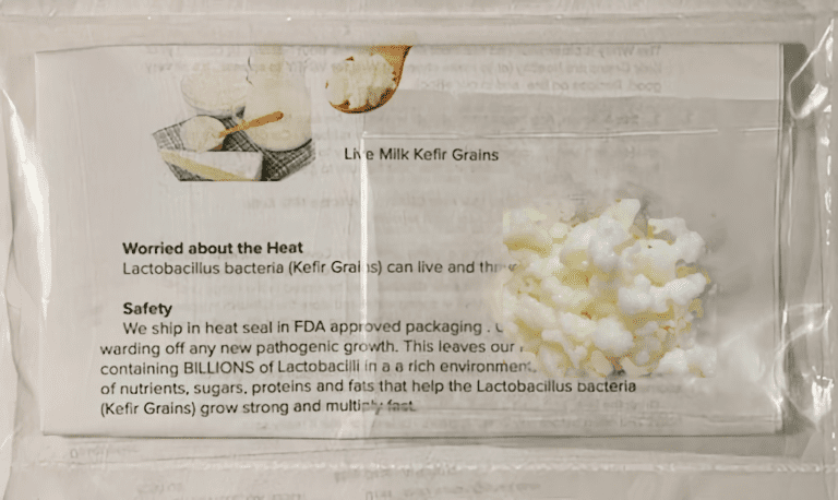 Kefir Grains