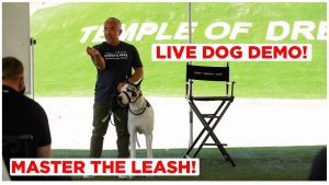 Cesar Millan Leash Training for Regular Dogs