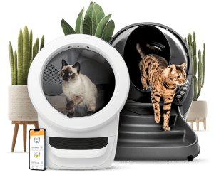 Litter-Robot Core Bundle with Whisker - Grey