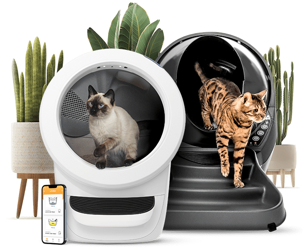 Litter-Robot Core Bundle with Whisker - Grey