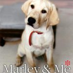 Marley & Me: The Life and Love of the World's Worst Dog