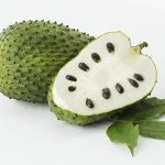 Fresh Guanabana Soursop Fruit (2-3lb)