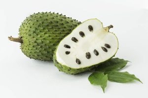 Fresh Guanabana Soursop Fruit (2-3lb)