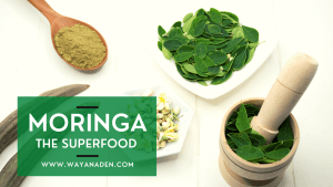 Moringa Organic Oleifera with Antioxidants and Superfoods