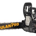 Poulan Pro PR4218 Chainsaw