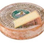 Italian Fontina Cheese