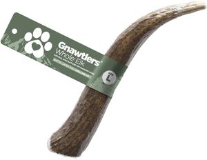 Antlers Large Premium Natural Antler