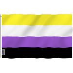 Anley Fly Breeze 3x5 Foot Non-Binary Pride Flag